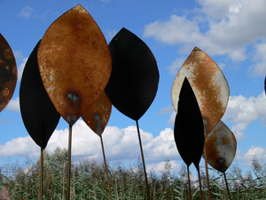 Ovaliques